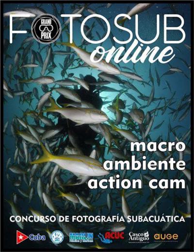 Anuncian concurso online de fotografía subacuática FotoSub 2020 2